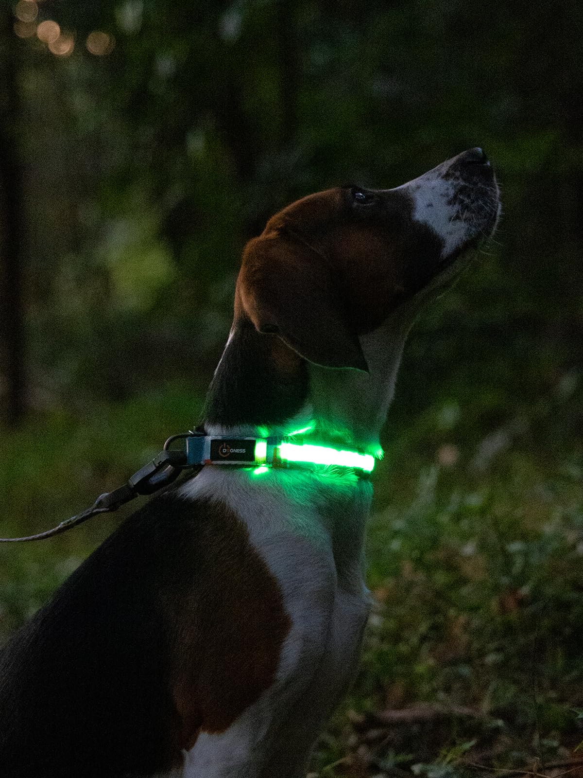 Dogness LED Dog Collar, Light Up Dog Collar for Night Walking, USB Rechargeable Glow in The Dark Dog Collars for Safety Camping (Large - Blue)