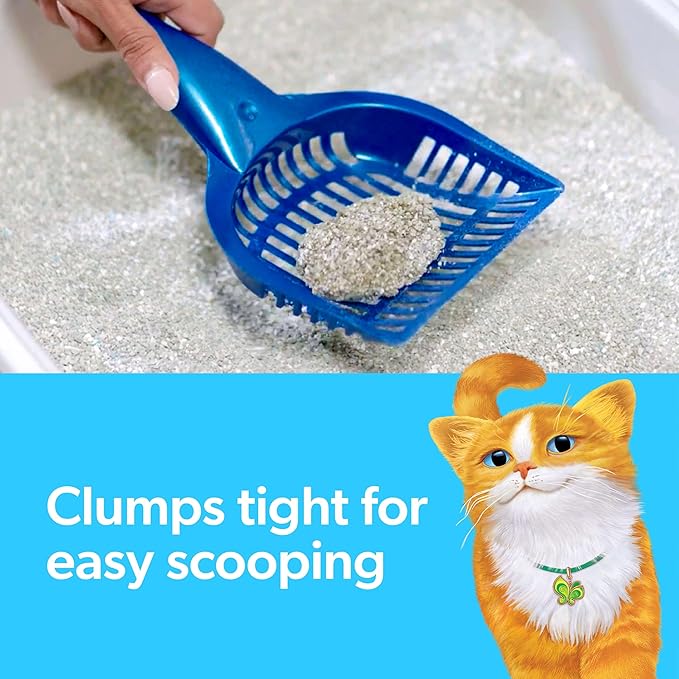Fresh Step Clumping Cat Litter with Febreze Gain Scent, Long Lasting Odor Control Kitty Litter with Activated Charcoal, Low Dust Formula, 14 lb