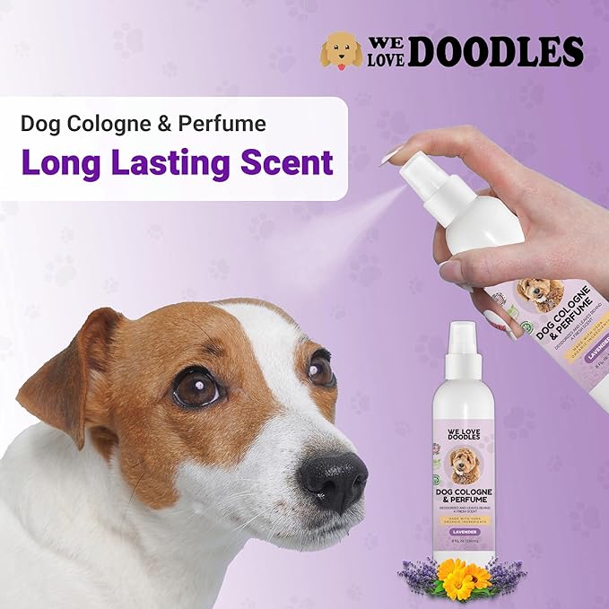 We Love Doodles Dog Cologne & Perfume and 4-in-1 Dog Shampoo, Conditioner & Detangler (Lavender) Bundle - Deodorant For Smelly Dogs & Shampoo for Goldendoodles, Poodles & Doodles Kit - Made In USA