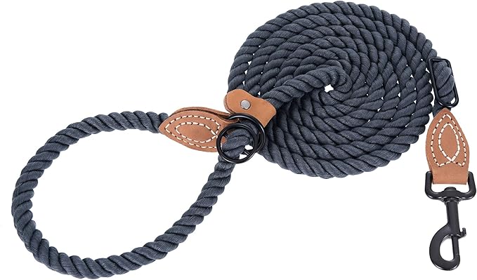 Mile High Life Hands Free Dog Leash, Crossbody Waist Leash with Genuine Leather Connection, Multifunctional Adjustable Slip Lead for Dog Walking Running (Blue Green, 8FT)