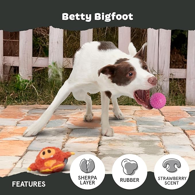 Barkbox Betty Bigfoot Dog Toy for Medium to Large Aggressive Chewers, Durable with Hidden Surprise Toy Inside for Extended Playtime