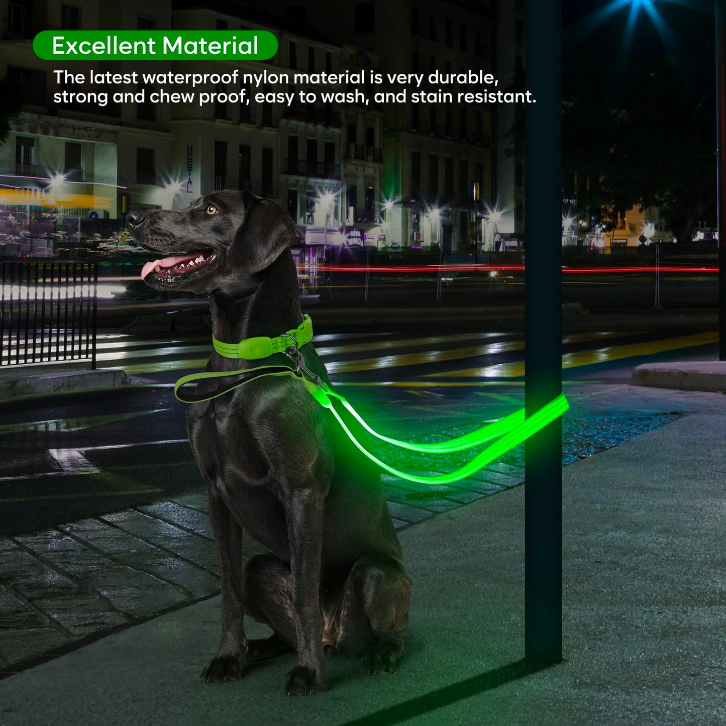 LED Dog Leash, Light Up Dog Leash 4 Ft Fully Illuminated USB Rechargeable Waterproof, Nylon Reflective Leashes with Padded Handle for Dogs Night Walking, Safety Glow in The Dark for Large Medium Pets