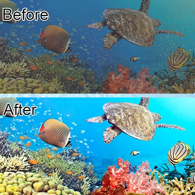 10 Pack Filter Cartridge for Whisper Bio-Bag Filters, Large Aquarium Replacement Filter Cartridges for Whisper Filters 20i,40i/IQ20,30,45,60/PF20,30,40,60 and ReptoFilter