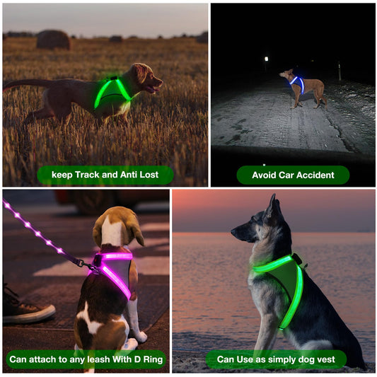 ChalkLit Light Up Dog Harness, No Pull Led Dog Harness Glow-in-The-Dark for Night Walking, USB Rechargeable Lighted Safety Vest for Medium Large Dogs, Adjustable Soft Mesh Fully Illuminated(Green, L)