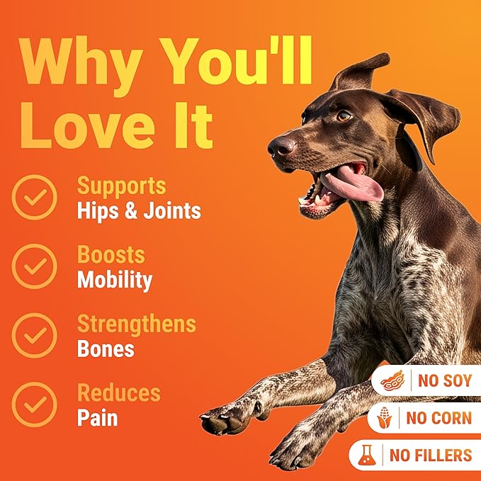 Hip and Joint Supplement for Dogs – Natural Ingredients with Chondroitin, MSM, Turmeric, and Glucosamine – Supports Hip Dysplasia, Arthritis, and Mobility – 140 Count, Made in USA