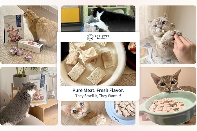 Freeze-Dried Raw Cat Food, 97% Animal Origin Dry Food for Cat, High Protein Treat & Topper (Beef Recipe - 2.1 Ounce)