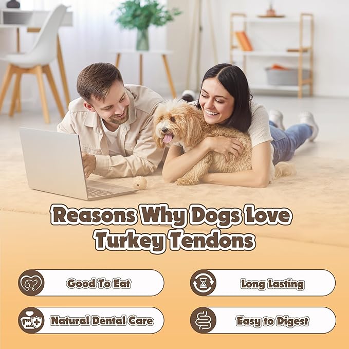 Gootoe Soft Turkey Tendon Stirip with Pumpkin 3oz, Chewy Snack, USA-Sourced Turkey Tendon, Premium Training Chews, Hypoallergenic, Reseal Value Bags, Ideal for Small & Senior Dogs