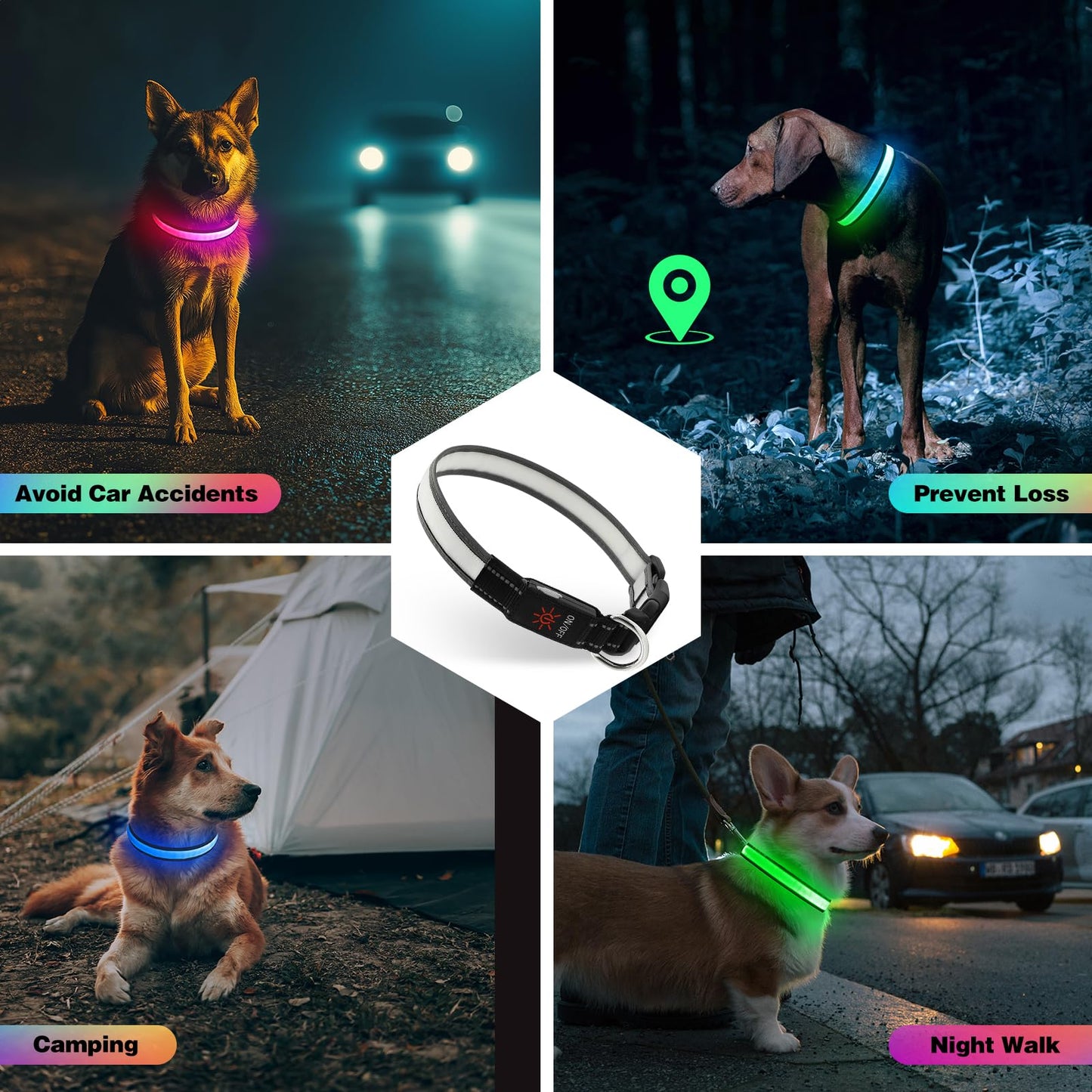 Light Up Dog Collar, Multicolor LED Dog Collar with 7 Lighting Modes - USB-C Rechargeable, Real-Time Battery Indicator, Waterproof & Adjustable Glow Collar for Safe Night Walks (M)