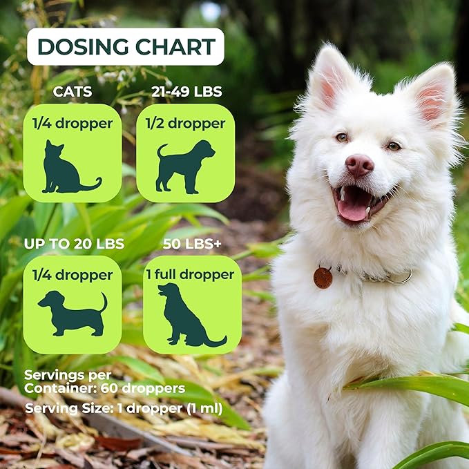 Hemp Oil for Dogs and Cats - USDA Organic, Large 2oz Bottle, Made in USA - Omega 3, 6 and 9, Vitamins A and E - Hip and Joint Support - Anxiety, Arthritis and Seizures Relief, Calming Aid