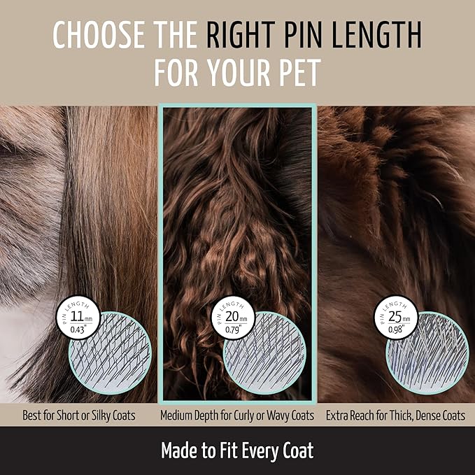 Tauro Pro Line Plastic Long & Short Hair Slicker Dog Brush for Deshedding & Detangling - Mint Slicker Brush for Dog & Cat Grooming - 0.79″ Pins, Flexible Cushion & Non-Slip Grip