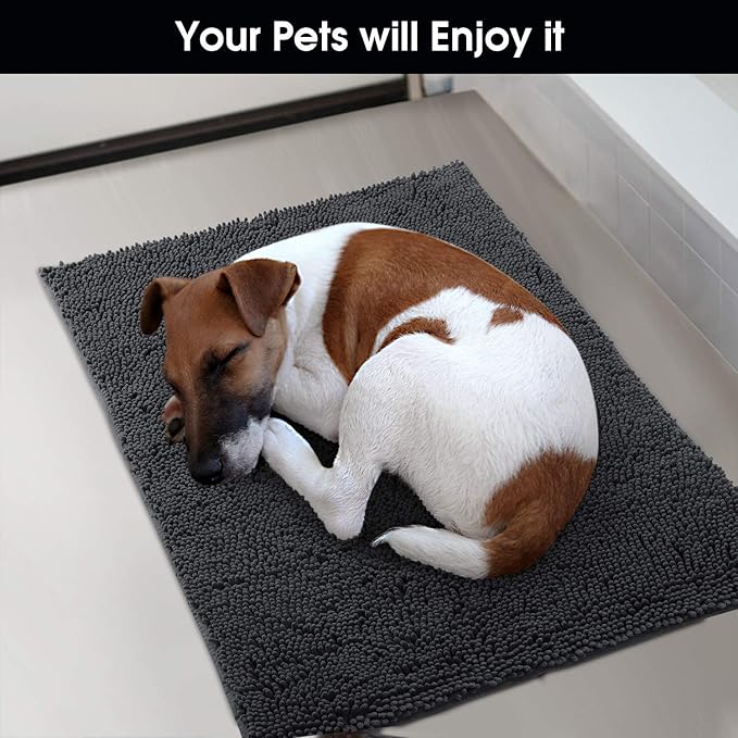 HOMEIDEAS Doormat Indoor Entrance, 36"x24", Highly Absorbent Chenille Muddy Dog Washable Non Slip Front Welcome Door Floor Mat for Entryway, Dark Gray