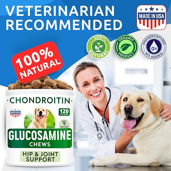 Glucosamine Chondroitin Dog Hip & Joint Supplement - Joint Pain Relief - Hip & Joint Chews for Dogs - Joint Support Large Breed - Senior Doggie Vitamin Pills Joint Health - (240 Treats - Bacon)