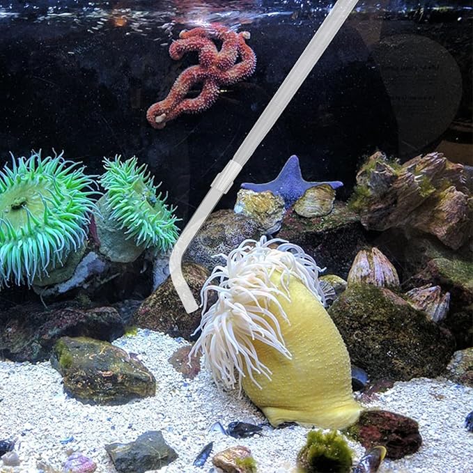 KABASI Coral Feeder Fish Feeder Waste Clean Tool, 50ml Manual Acrylic Pipette Suction Dropper with 2PCS Extension Pipes for Fish Tank Cleaning, Water Changer Waste Remover for Aquarium