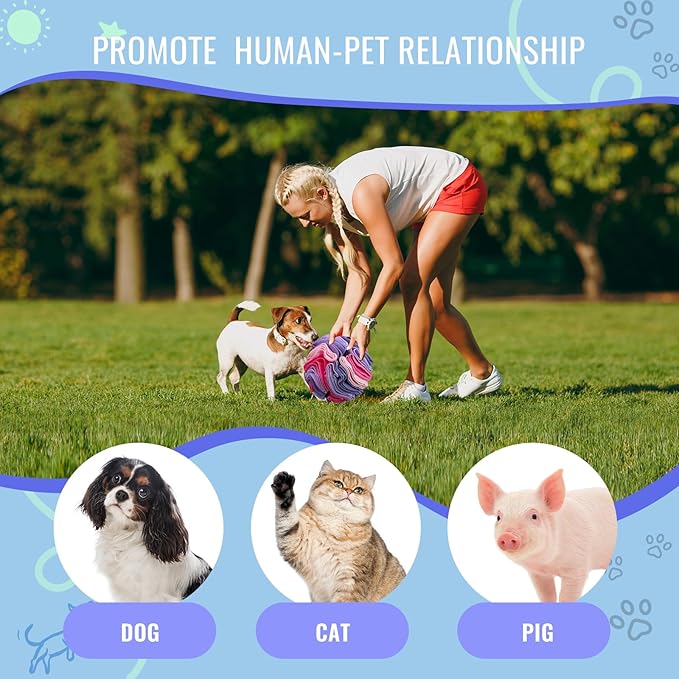 Pet Snuffle Ball, Puzzle Sniffing Interactive Dog Ball for Blind Dogs Training Stress Relief Dog Enrichment Toys Treat Machine Washable (15cm, Pink and Purple)