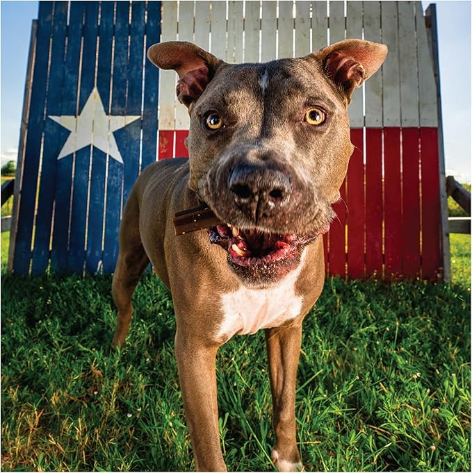 Get Naked Dental Sticks Grain-Free Chicken Flavor Dog Treats, Senior Health Small 6.2-oz Bag