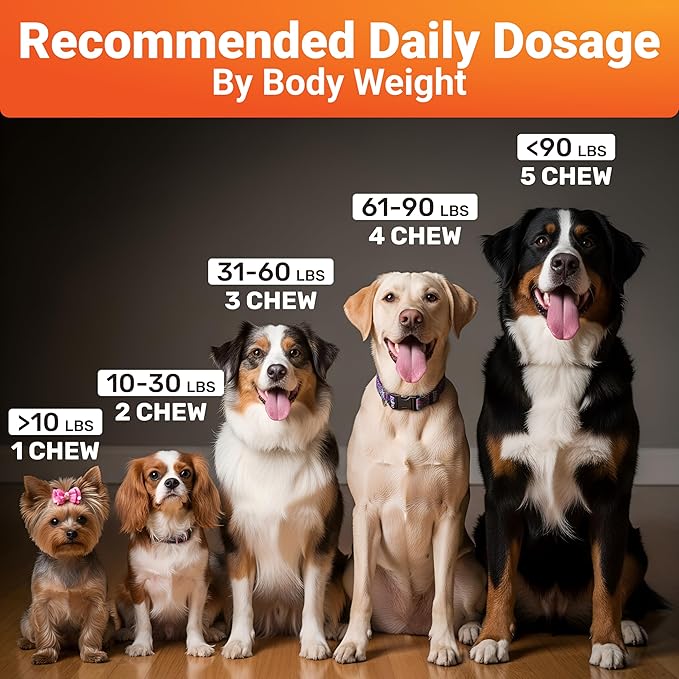 Hip and Joint Supplement for Dogs – Natural Ingredients with Chondroitin, MSM, Turmeric, and Glucosamine – Supports Hip Dysplasia, Arthritis, and Mobility – 140 Count, Made in USA