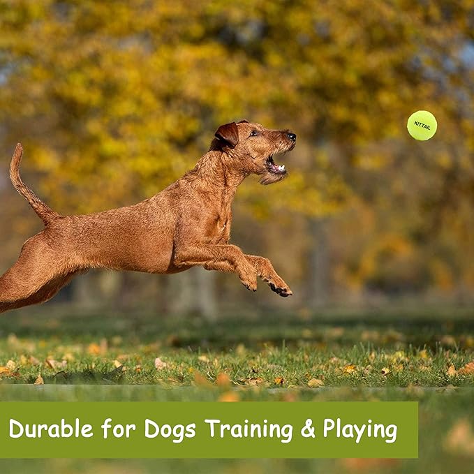 12 Pcs Squeaky Tennis Balls for Dogs - 2.58" Interactive Doggy Toys - Mini Safe, Durable for Small Medium Large Dogs Training Playing, with 1 Reusable Carry Bag