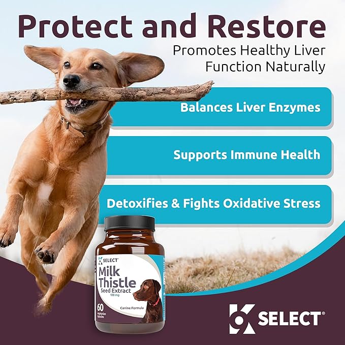 K9 Select Milk Thistle for Dogs, 100mg - 60 Vegetable Capsules - Canine Liver Health Milk Thistle Supplement - Milk Herbal
