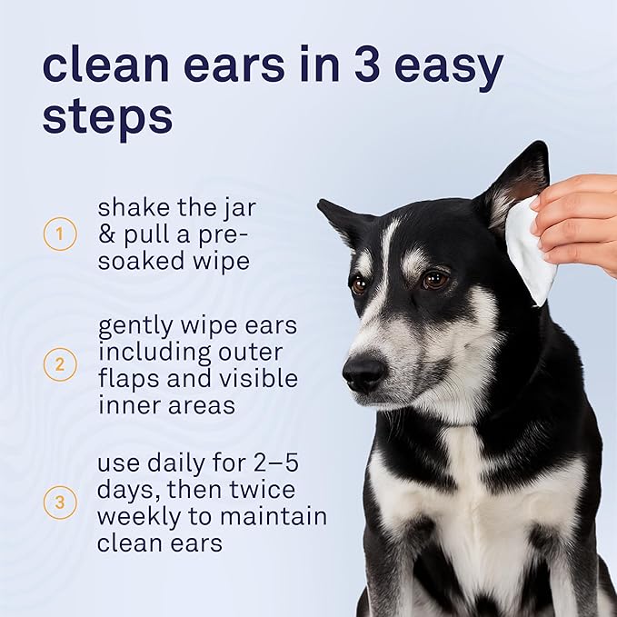 Petpost | Large Dog Ear Cleaner Wipes - Ultra Soft XL Cotton Pads in Coconut Oil Aloe Solution - Remedy for Dog Ear Rinse & Cleanser 60 ct.