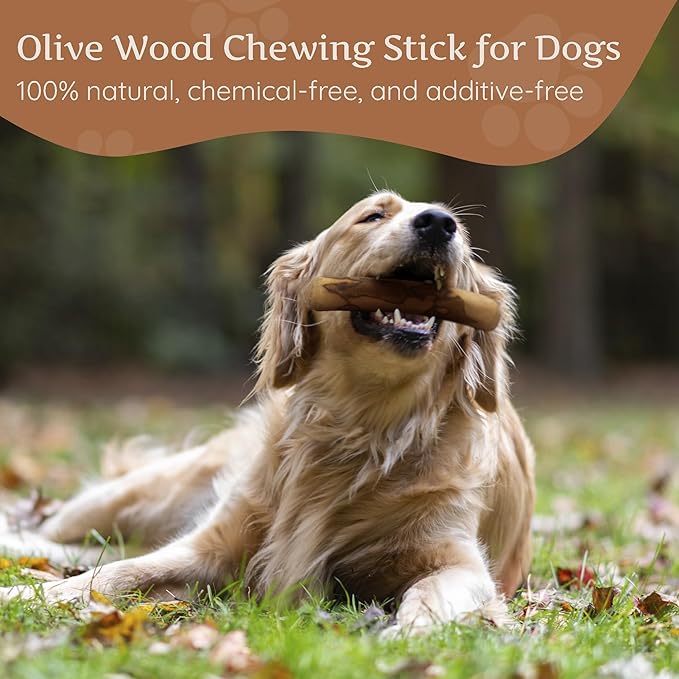 Wildfang® Olive Wood Chewing Sticks for Dogs, Medium - Tough Chew Toys for Aggressive Chewers, Puppy Chew Toys for Teething, Training for Chewing Muscles, Olive Wood Stick for Dog (33-55lbs), 3pack