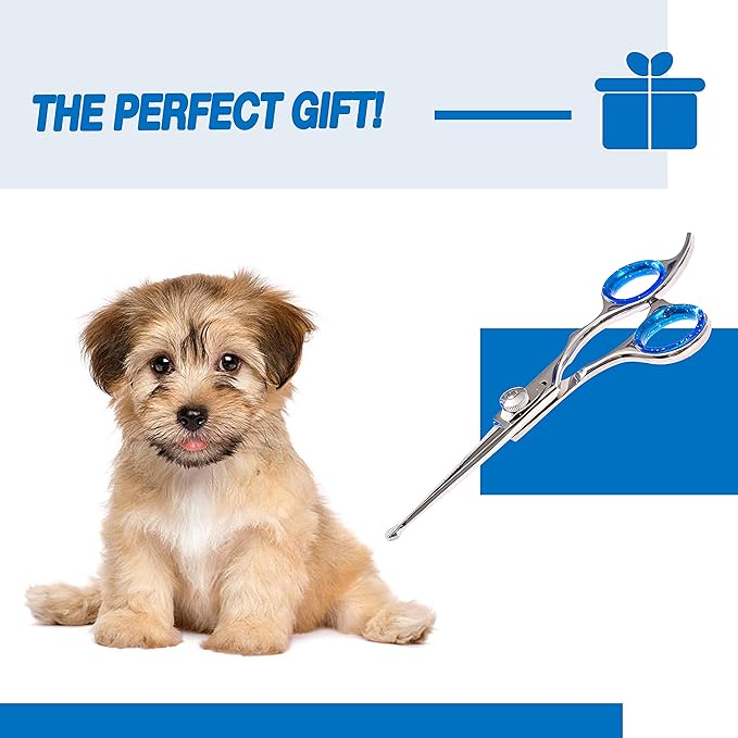 Laazar Pro dog grooming scissors, Straight Pet grooming shears, with Safety Round Tip, Ball Point for easy and safe use. | Premium Sharp Long Lasting Professional Hair Trimming Scissors (5.5 Inches)