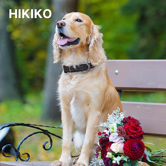 Hikiko Martingale Dog Collars Reflective Nylon Dog Collar with Quick Release Buckle Adjustable Training No Slip Dog Collar (Large, Coffee Brown)