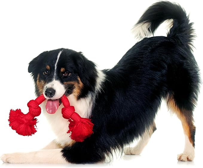 Playology Rope Toys for Dogs | Tug of War Dog Toy for Aggressive Chewers | Beef Scented Dog Toys | Medium Rope Toy for Interactive Play