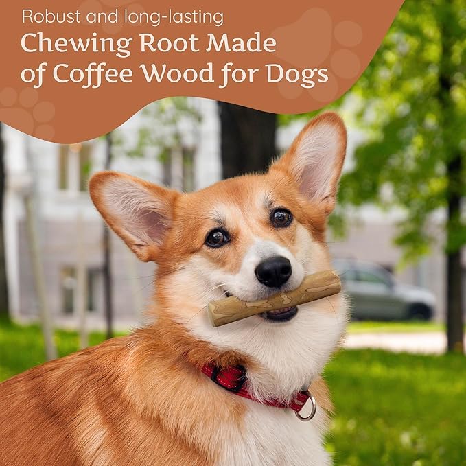 Wildfang® Coffee Wood Dog Chew, Small - Tough Chew Toys for Aggressive Chewers, Dog Teething Toys for Puppies, Training for Chewing Muscles, Coffee Tree Sticks for Small Dogs (22-33 lbs)