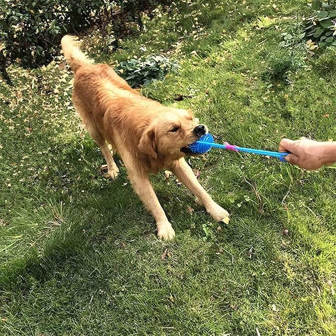 Orgrimmar 3.5" Dog Squeaky Chewing Balls 3 Packs Pet Soft Cleaning Teeth Toys Dogs Spiky Balls with High Bounce for Small Medium Large Pet Dog Toys