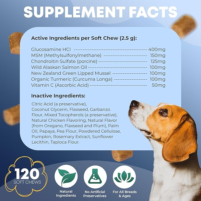 Hip and Joint Supplement for Dogs 120 Dog Chews - Advanced Glucosamine for Dogs - Chicken Flavor Hip and Joint Chews for Dogs - Dog Pain Relief Supplement - Perfect for Small to Medium and Large Breed