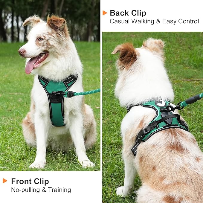 Taglory Light Up Dog Harness, Rechargeable No Pull Dog Vest with 3 Lightning Modes, Reflective Dog Harness with 2 Leash Clips & 4 Adjustable Slide Strips for Small Dogs, Turquoise-Green, S