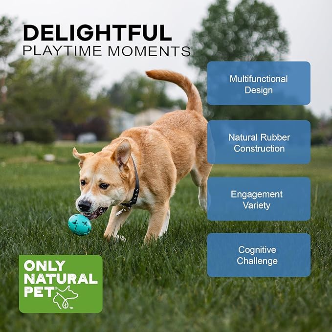 Only Natural Pet Rubber Boredom Buster Treat Stuffer Dog Toys - Interactive Stuffable Feeder Dispenser Fillable Durable Play Puppy Medium Large XS Chew Pup Hide Holder Easy Refill -RubberBall/Teal