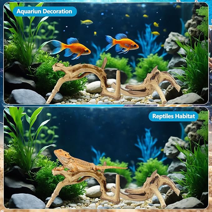 10 Pcs Natural Small Spiderwood for Aquarium, Aquarium Driftwood Freshwater 4-6 Inch, Assorted Size Spider Wood, Twisted Branches for Fishtank Accessories, Reptile Terrariums Decorations