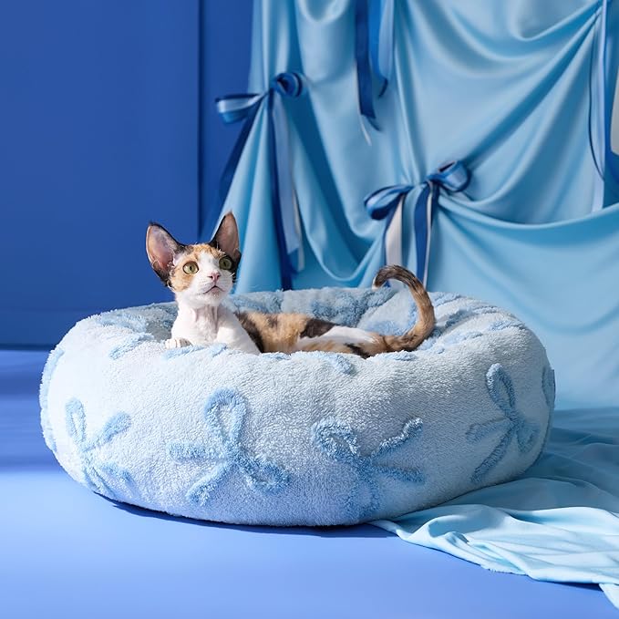LE SURE Donut Cat Beds for Indoor Cats - Round Small Dog Bed Calming Pet Beds, Cute Modern Beds with Jacquard Shaggy Plush & Anti Slip Bottom, 20 Inch, Ice Melt