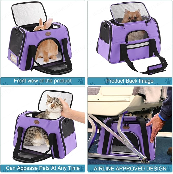Cat Carrier Dog Carrier Pet Carriers for Medium Small Cats Dogs Puppies up to 15 Lbs,TSA Airline Approved Small Dog Cat Carriers Soft Sided,Collapsible Travel Puppy Carrier (Purple, Medium)