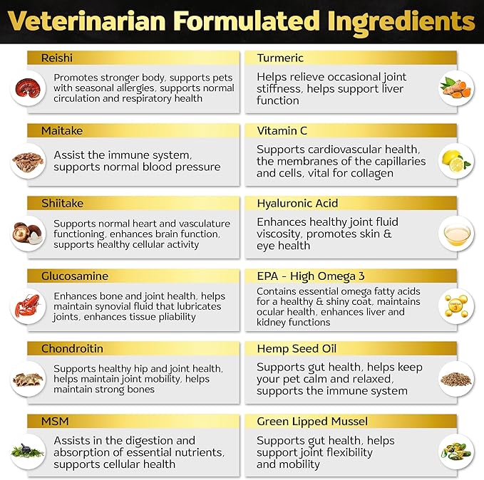 Soft Chews Hip and Joint Supplement for Dogs - Dog Joint Pain Relief Treats - Glucosamine, Chondroitin, Turmeric- Mobility Supplement