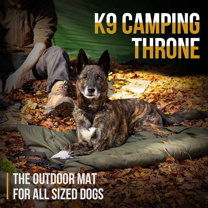 ONETIGRIS Large Dog Bed Washable Matteress Anti Slip Cushion for Pets Sleeping, 3.6ft by 2.2ft Water-Resistant Pet Bed for Indoor Outdoor(Green)