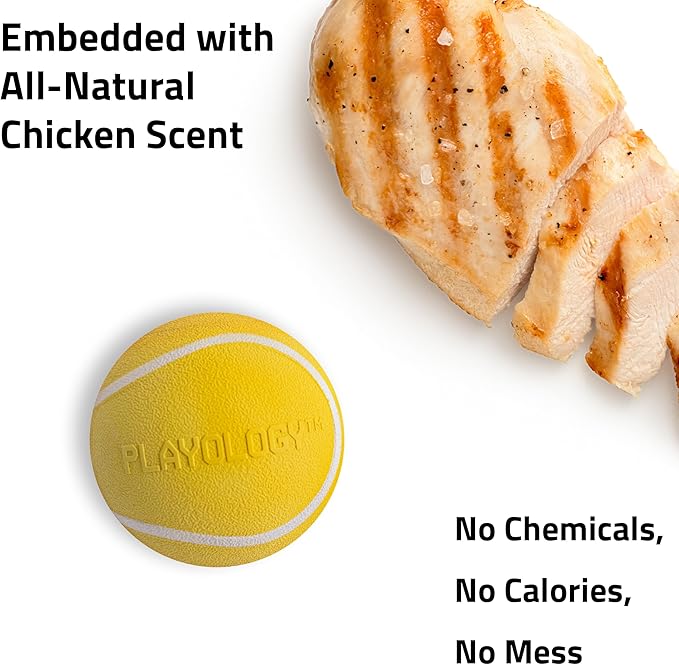 Playology Squeaky Dog Toy | Durable Rubber Interactive Dog Ball | Chicken Scented Fetch Ball for Small Dogs, Value 3-Pack | Floating Dog Toy Made from Non Toxic Materials