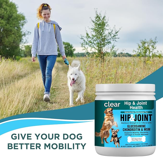 Glucosamine for Dogs Hip and Joint Supplement - Chondroitin, MSM, Green-Lipped Mussel - Clear Hip & Joint - Advanced Mobility Cartilage Support, Bone Health - Tasty Chews 60ct - Made in USA