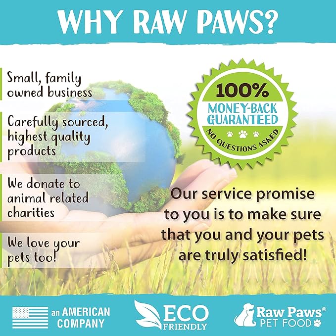 Raw Paws Grooming Brush, 1 ct - Hand-Held Rubber Tipped Pin Brush for Dogs & Cats - Deshedding Dogs with Short Hair & Long Hair - Dog Grooming