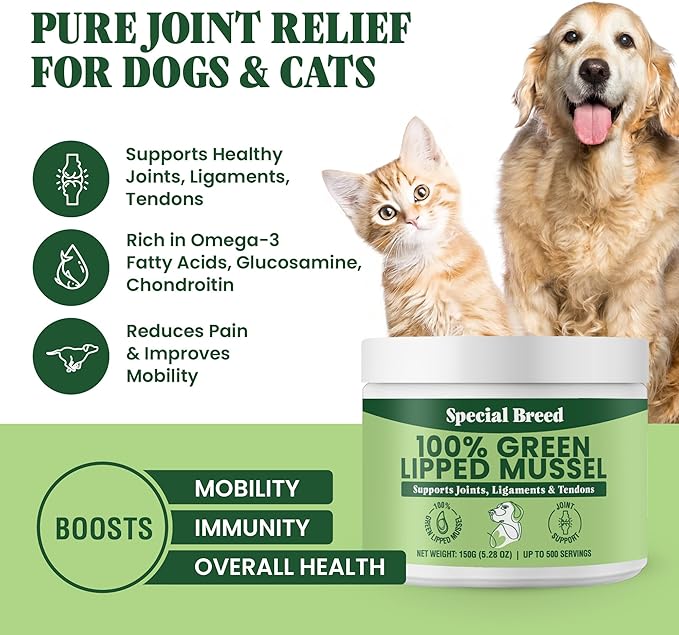 Green Lipped Mussel Powder for Dogs & Cats - 100% New Zealand Green Lipped Mussels - Natural Hip & Joint Supplement for Joints, Tendons, Ligaments, Muscles - 150 Grams - Up to 500 Servings