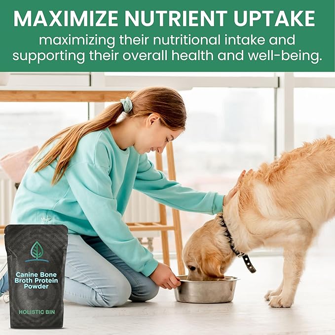 HOLISTIC BIN Canine Powderized Beef Bone Broth – Protein Powder for Endurance & Longevity – Nutritious Dog Enrichment for Energy & Wellness – Premium Beef Protein Supplement - 50 Grams