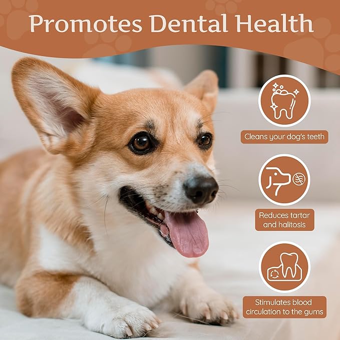 Wildfang® Coffee Wood Dog Chew, Small - Tough Chew Toys for Aggressive Chewers, Dog Teething Toys for Puppies, Training for Chewing Muscles, Coffee Tree Sticks for Small Dogs (22-33 lbs), Pack of 3