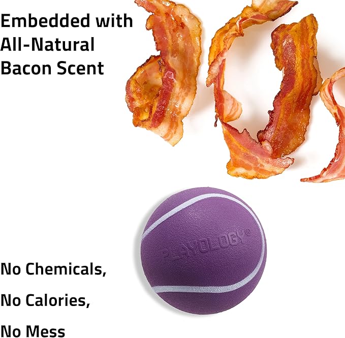 Playology Dog Toys | Squeaky Chew Ball - Squeaky and Bouncy Durable Floating Fetch Ball for Dogs | Medium Bacon Scented Toy - Easy to Clean and Made from Non Toxic Materials