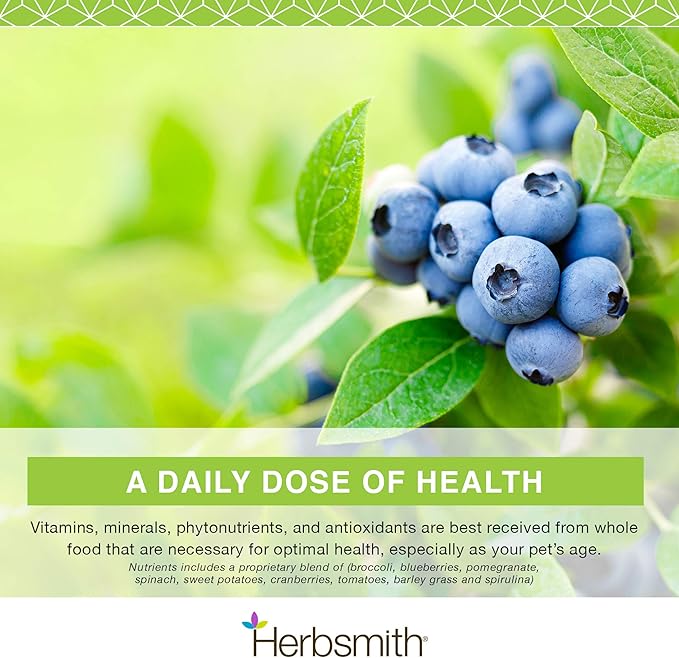Herbsmith Nutrients Superfood Dog Multivitamin Featuring Vitamins & Minerals from Whole Foods Boost Kibble or DIY Raw with Antioxidants for Puppies to Seniors - 17.63 oz