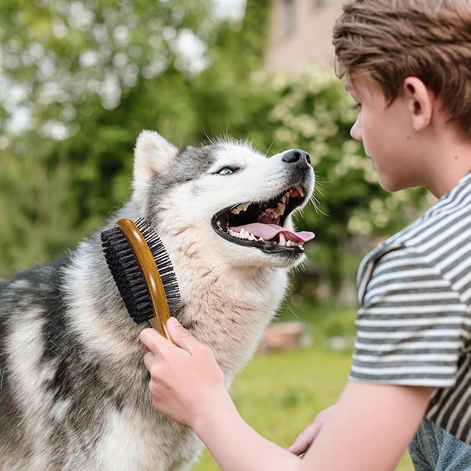 TAKAVU Pin & Bristle Pet Brush for Dogs & Cats - Double Sided Grooming Tool Detangles, Removes Loose Hair & Conditions Coat - Wood Handle