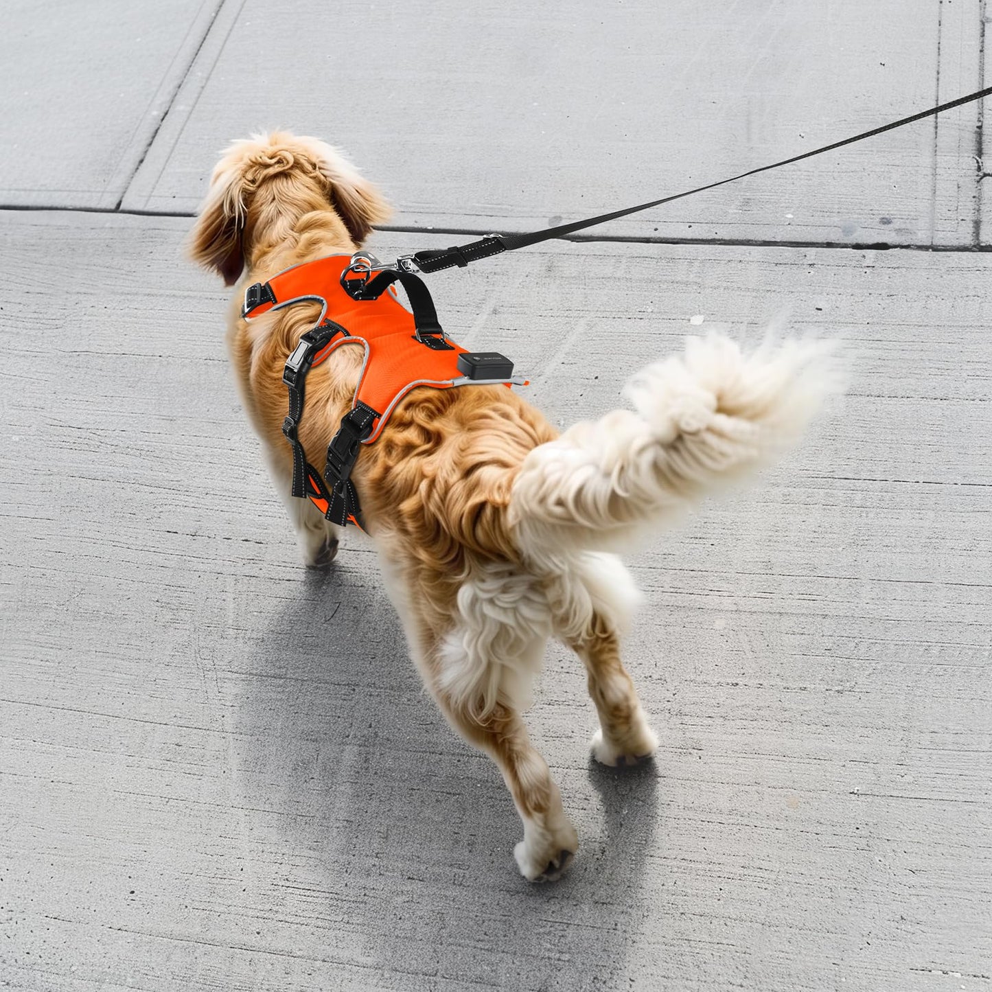 LED Dog Harness - No Pull, Rechargeable, Reflective, Glows in Dark - Orange, Medium