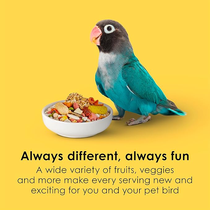 Kaytee Fiesta Big Bites Small Parrot & Conure Food, Nutritious and Fun Blend, Supports Skin, Feather, Digestion, Brain and Heart Health, 4 pounds