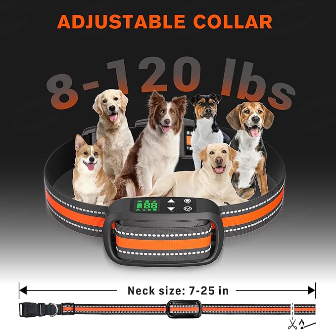 Homrich 2 in 1 GPS Wireless Dog Fence and Training Collar, IPX7 Waterproof Pet Containment and Behavior Training Fence Dog Collar for Medium to Large Dogs (Upgraded M10 Chip)