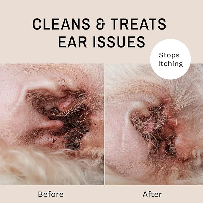 Eye Envy Ear Cleaning Solution for Dogs and Cats. Made in The USA. Safe, All-Natural Dog Ear Cleaner. Prevents Dog Yeast Ear Infections. Removes Dirt, Debris, and Wax buildup. Unscented. 4 fl. oz.